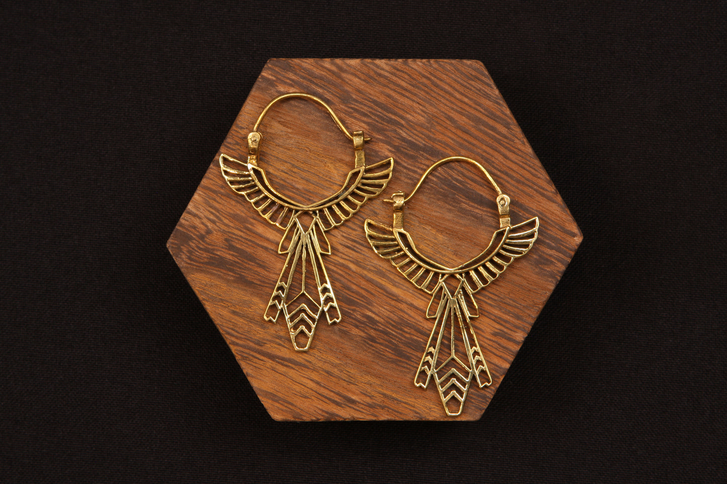 Eagleye Earring