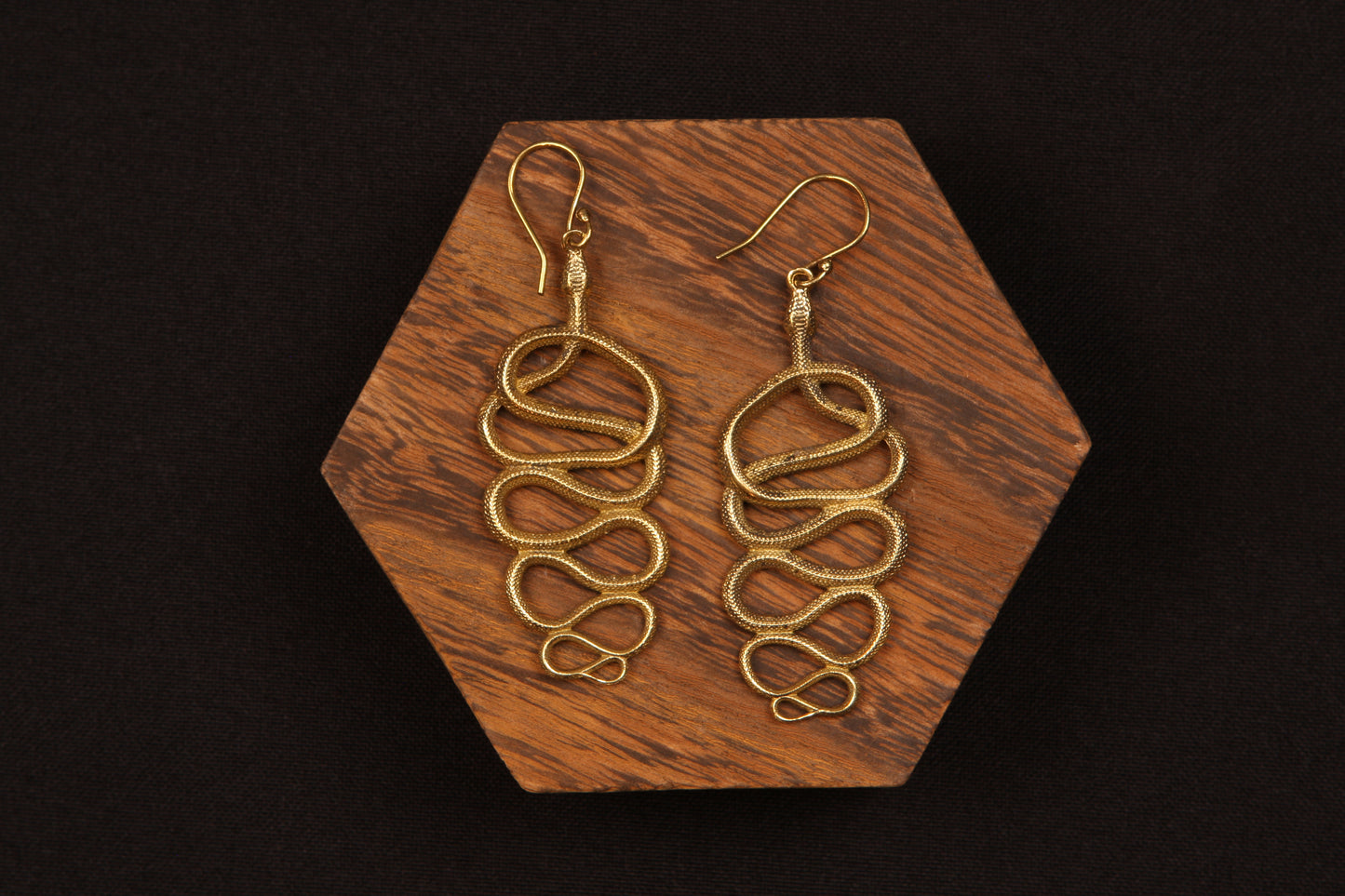 Snakes Earring