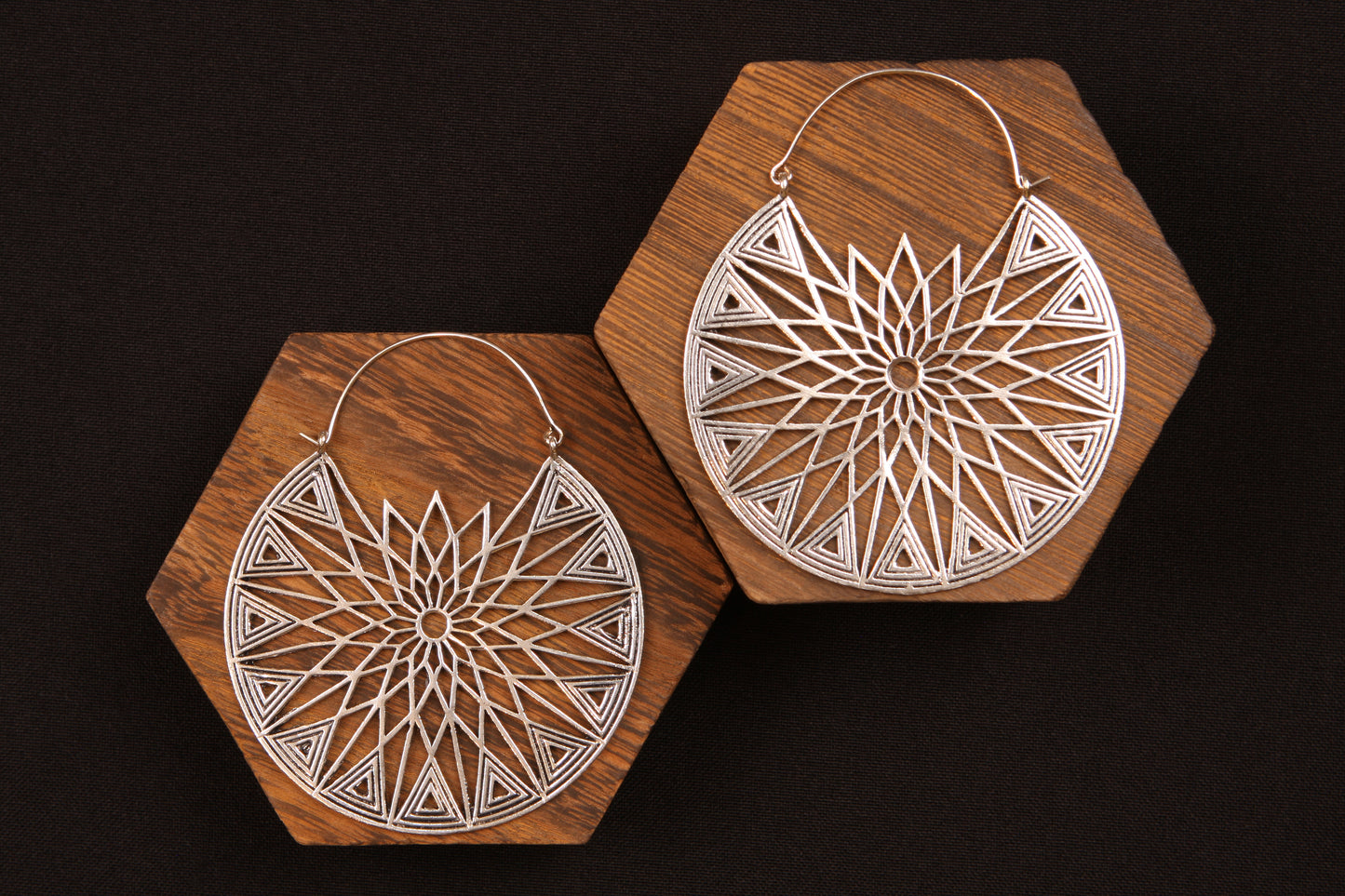 Earring 13 (Copy)