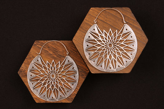 Earring 13 (Copy)